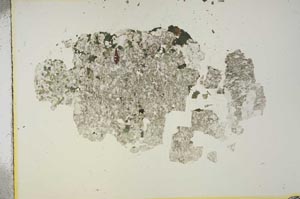 Plane Polarized, S15412