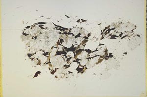 Plane Polarized, S15413