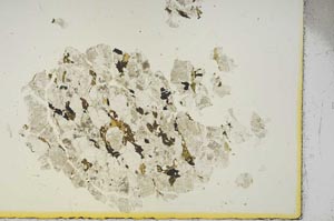 Plane Polarized, S15419