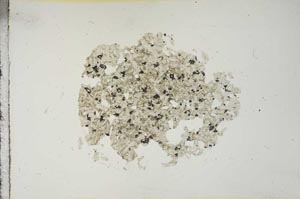 Plane Polarized, S15424