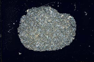 Cross Polarized, S15454