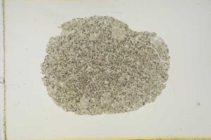 Plane Polarized, S15454