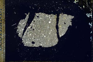 Cross Polarized, S15455