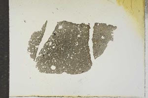 Plane Polarized, S15455