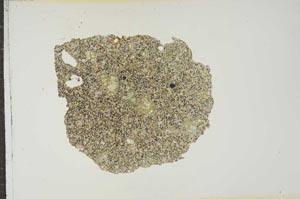 Plane Polarized, S15456