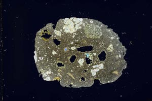 Cross Polarized, S15457