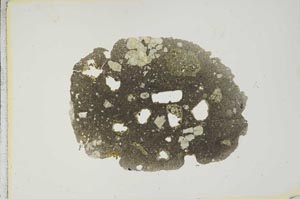 Plane Polarized, S15457