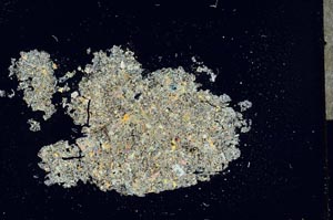 Cross Polarized, S15459