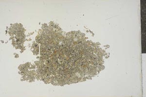 Plane Polarized, S15459