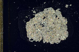 Cross Polarized, S15460