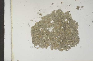 Plane Polarized, S15460