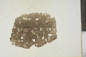 Plane Polarized, S15462