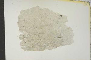 Plane Polarized, S15469