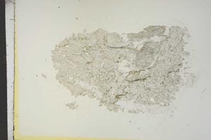 Plane Polarized, S15471