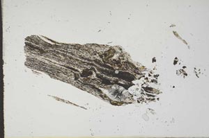 Plane Polarized, S15497/B