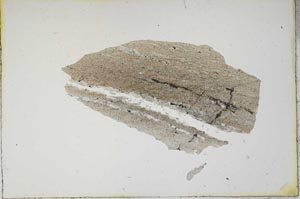 Plane Polarized, S15498