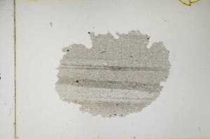 Plane Polarized, S15500
