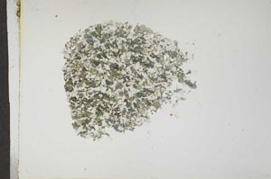 Plane Polarized, S15521