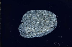 Cross Polarized, S15563