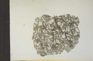 Plane Polarized, S15594