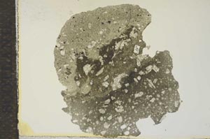 Plane Polarized, S15597