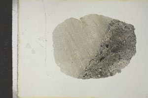 Plane Polarized, S15601