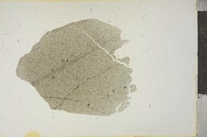 Plane Polarized, S15602