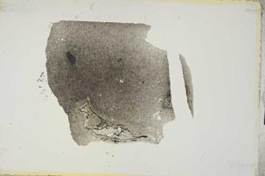 Plane Polarized, S15603