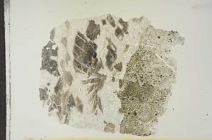 Plane Polarized, S15606