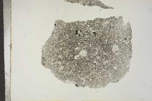 Plane Polarized, S15608
