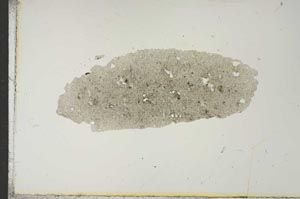 Plane Polarized, S15620
