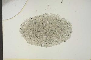 Plane Polarized, S15622