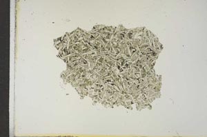 Plane Polarized, S15633