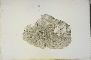 Plane Polarized, S15635