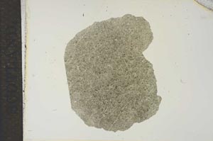 Plane Polarized, S15636