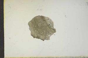 Plane Polarized, S15638
