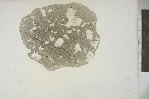 Plane Polarized, S15639