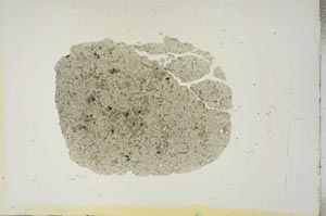 Plane Polarized, S15641