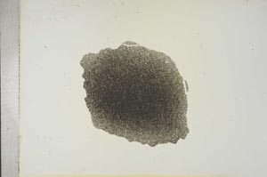 Plane Polarized, S15645