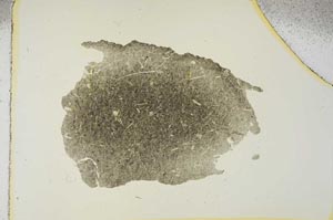 Plane Polarized, S15646