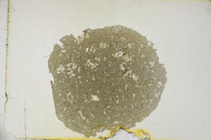 Plane Polarized, S15648