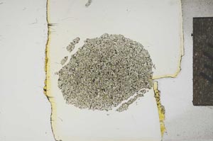 Plane Polarized, S15654