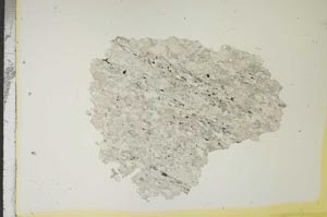 Plane Polarized, S15695