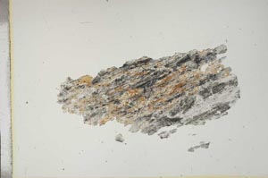 Plane Polarized, S15699