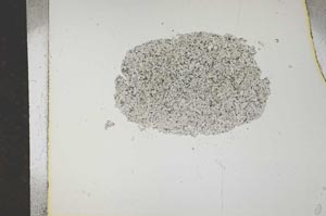 Plane Polarized, S15731