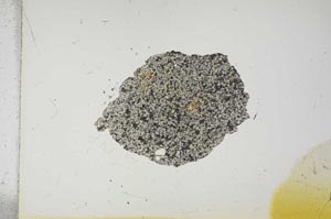 Plane Polarized, S15733