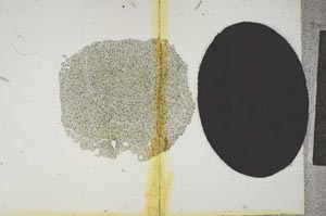 Plane Polarized, S15735