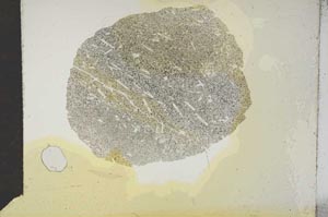 Plane Polarized, S15737