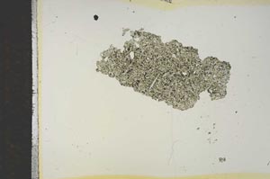 Plane Polarized, S15746