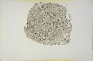 Plane Polarized, S15751